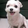 黃長