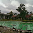 Pengguna: Hadi Suryono