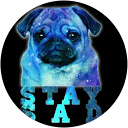 Galaxy Pug Moon