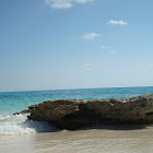 Kullanıcı: Christian Pablo Bahrdt Alcaide