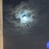 馮正文