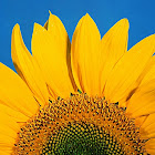 Uživatel: Sergey Dolgopolov