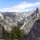 Käyttäjä: David Rooney