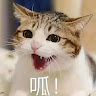 小天 7