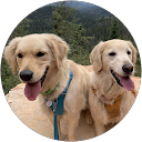 Desert D profile picture