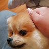 userThumbnail