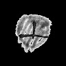 userThumbnail
