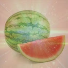 Uživatel: Wujie Zhao