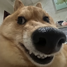 userThumbnail