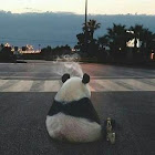 ผู้ใช้: Владимир Шпилев