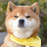 李恩呂李恩呂
