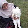 Created by