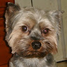 rico chou 1