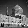 farzin amini