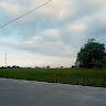 Cici Kis lestari