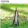 userThumbnail