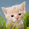 รูปภาพนักเขียน: Bu Berry