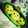 Created by