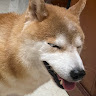 吳稚寬