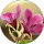 Beatriz Torralba profile picture