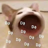Mỳ <3