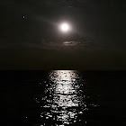 Utilisateur: MeMelon