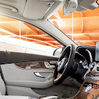 Kullanıcı: randmdh wolf