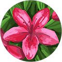 Kayleigh Price profile image