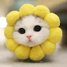 Canh Tran