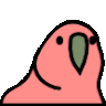 Rhong