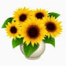 User ID : 379208