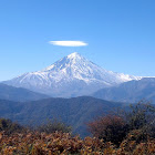 사용자를: Ali Alavi