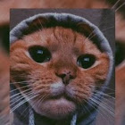 Användare: Milena Coll