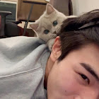 Uživatel: Palinya Chaisan