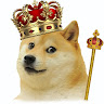 Mr. Doge