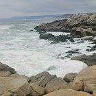 Pengguna: Ignacio Aravena