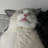 黃詩晴