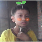 Kullanıcı: nguyễn thanh tiền