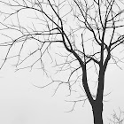 Użytkownik: 苏德渊