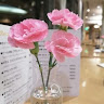 Created by