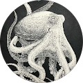 Avatar of R Jansen