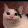 吃雞雞