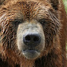 Big Bear