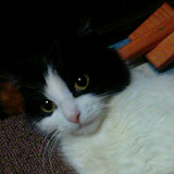 Tатьяна Завьялова