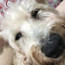 佑佑 8