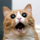 Kullanıcı: Yaric Dunaev