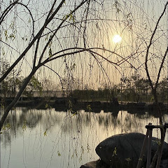 何昀哲21203的頭像