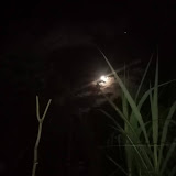 User: luis alejandro lizarazo