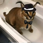 Uživatel: Dante Alemangut