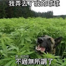 無 7